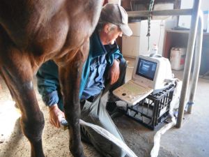 Ultrasound check-up on SDF treatment